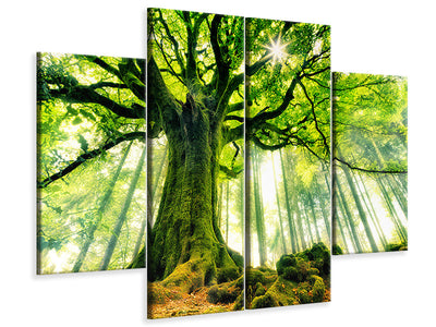 4-piece-canvas-print-ponthus-beech