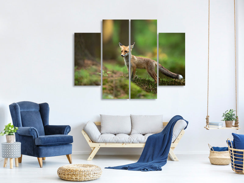 4-piece-canvas-print-red-fox