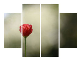 4-piece-canvas-print-red-poppy