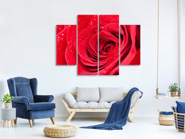 4-piece-canvas-print-red-rose-in-morning-dew