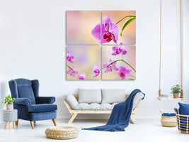 4-piece-canvas-print-romantic-orchids