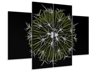 4-piece-canvas-print-stenocactus