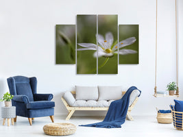 4-piece-canvas-print-stitchwort