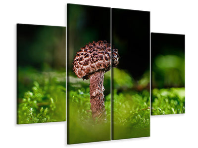 4-piece-canvas-print-strobilomyces-strobilaceus