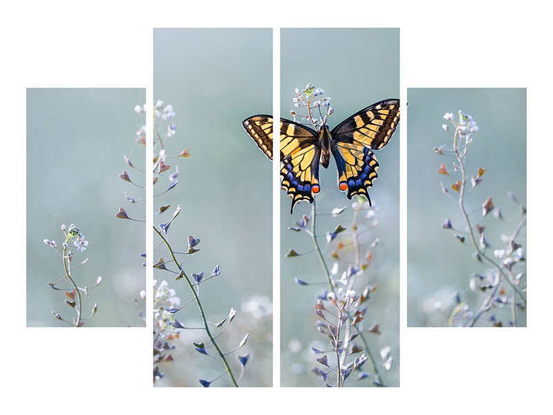 4-piece-canvas-print-swallowtail-beauty