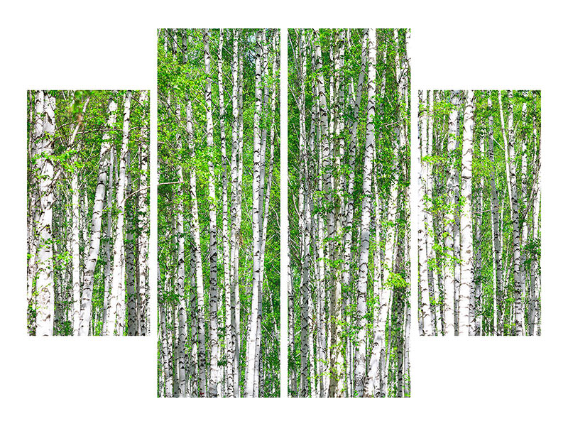 4-piece-canvas-print-the-birch-forest