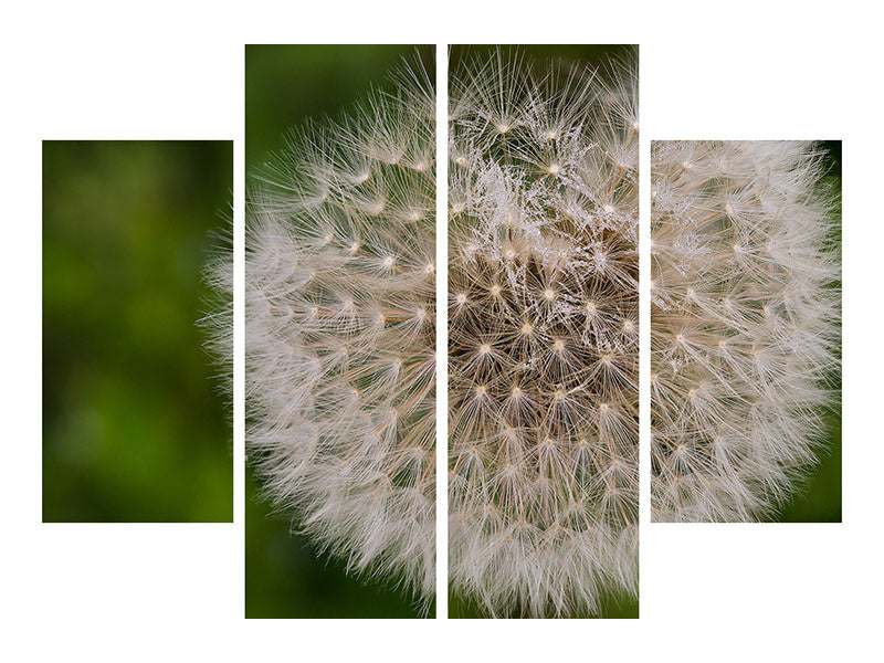 4-piece-canvas-print-the-dandelion-in-nature