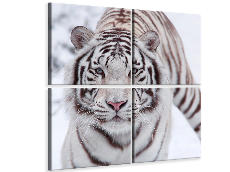 4-piece-canvas-print-the-king-tiger