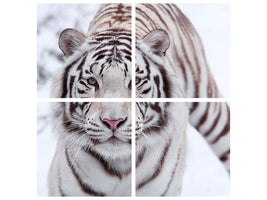 4-piece-canvas-print-the-king-tiger