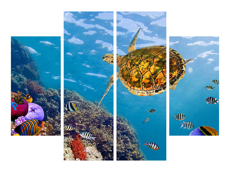 4-piece-canvas-print-the-turtle