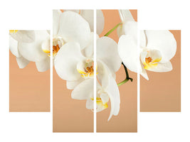 4-piece-canvas-print-white-orchid-flowers