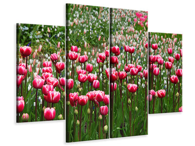 4-piece-canvas-print-wild-tulip-field