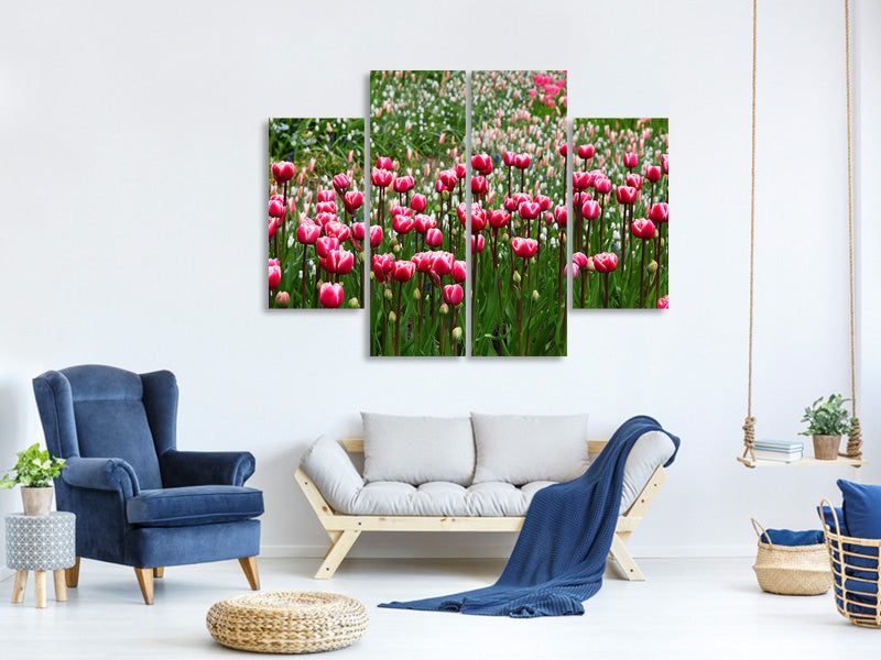 4-piece-canvas-print-wild-tulip-field