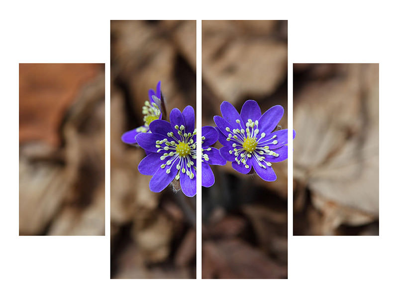 4-piece-canvas-print-wildflowers