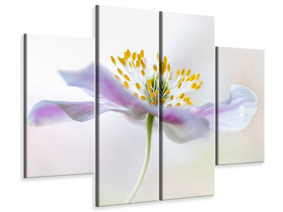 4-piece-canvas-print-wood-anemone