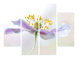 4-piece-canvas-print-wood-anemone