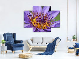 4-piece-canvas-print-xxl-water-lily-in-purple