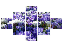 5-piece-canvas-print-a-field-full-of-crocuses