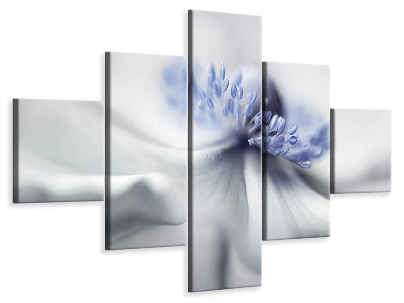 5-piece-canvas-print-anemone-spirit