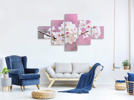 5-piece-canvas-print-cherry-blossoms-xxl