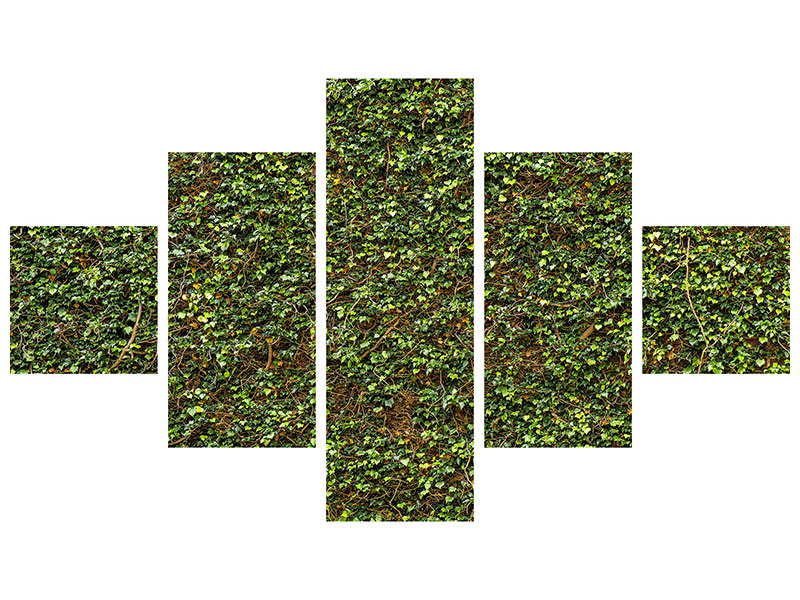 5-piece-canvas-print-green-ivy-leaves-wall