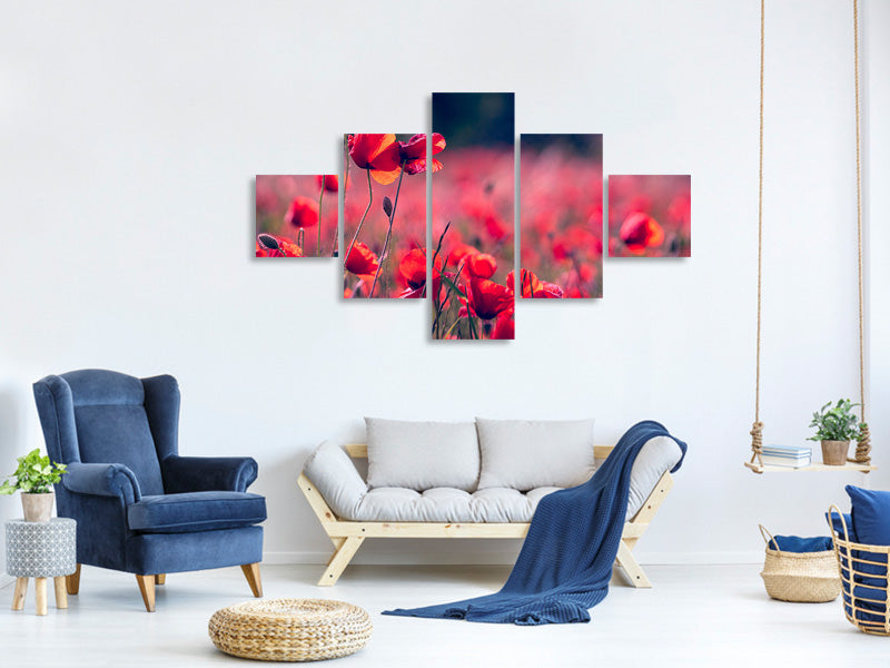 5-piece-canvas-print-in-the-poppy-field