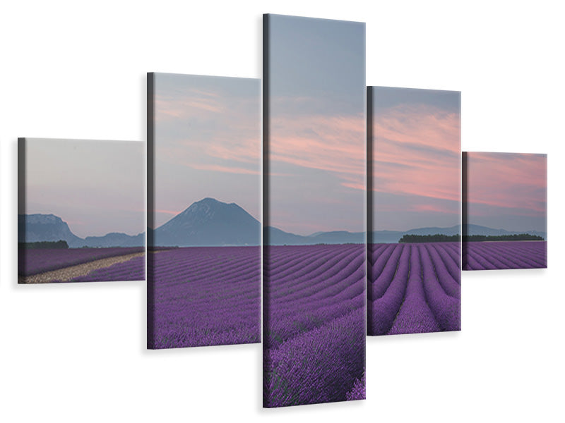 5-piece-canvas-print-lavender-field