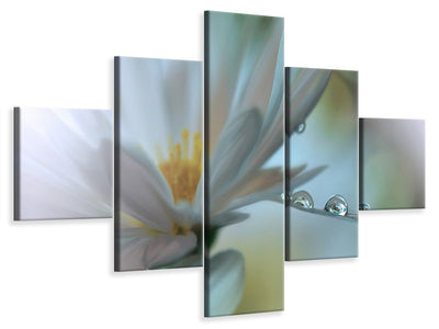 5-piece-canvas-print-light-touch