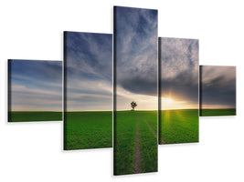 5-piece-canvas-print-loner-in-the-sun