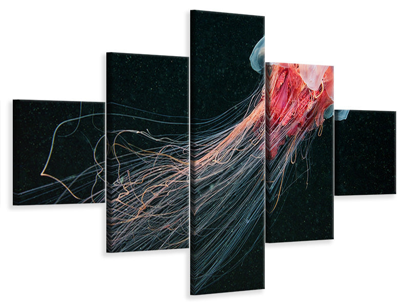 5-piece-canvas-print-longtail