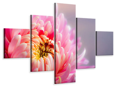 5-piece-canvas-print-macro-chrysanthemum