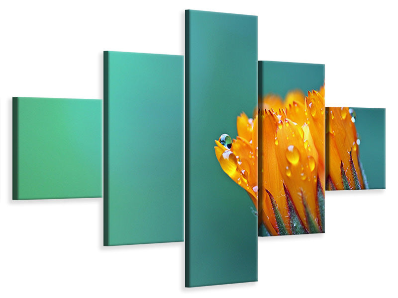 5-piece-canvas-print-marigold-in-morning-dew