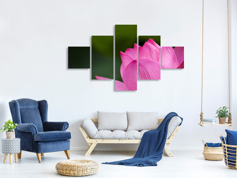 5-piece-canvas-print-marko-lotus-in-pink