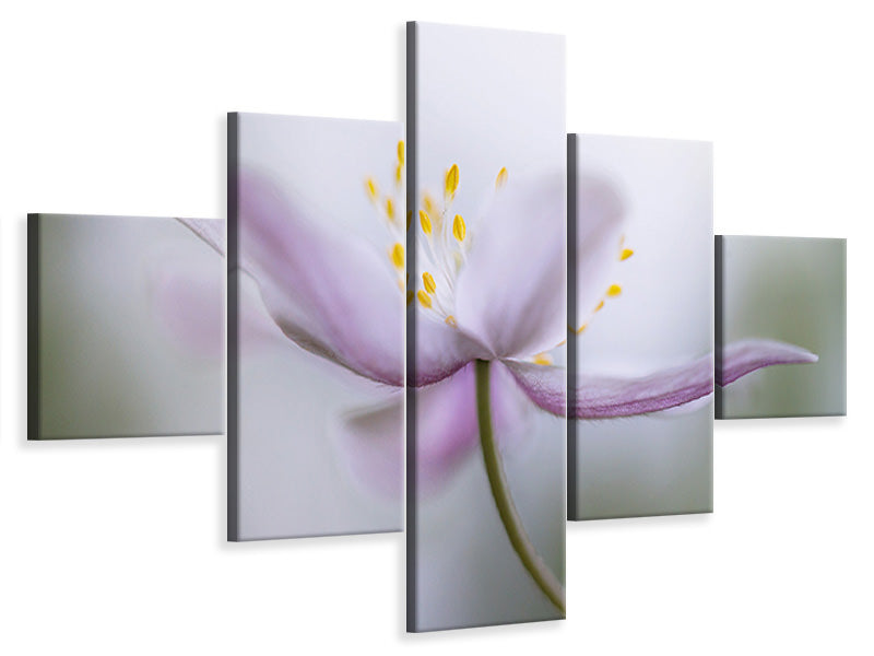 5-piece-canvas-print-nemorosa-ii