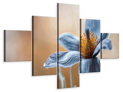 5-piece-canvas-print-pasque