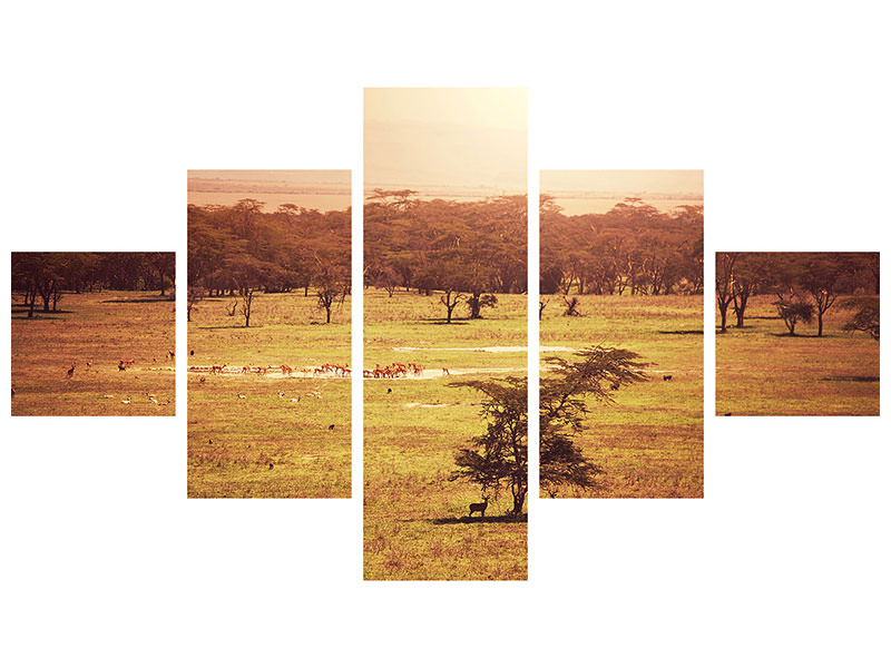 5-piece-canvas-print-picturesque-africa