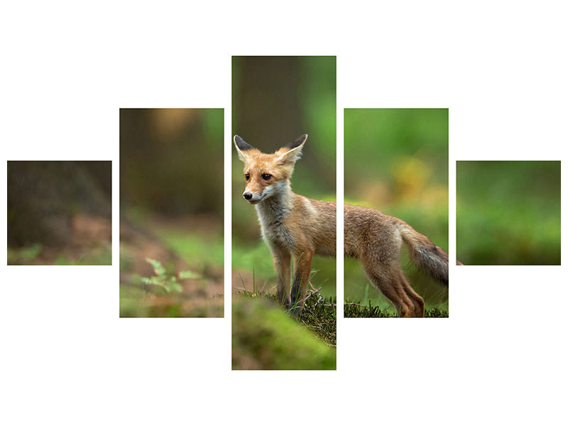 5-piece-canvas-print-red-fox