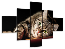 5-piece-canvas-print-relaxed-cat