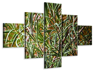 5-piece-canvas-print-rosemary-xxl