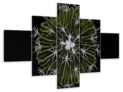 5-piece-canvas-print-stenocactus