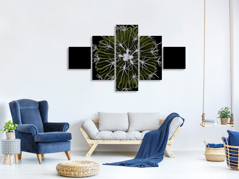 5-piece-canvas-print-stenocactus