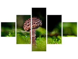 5-piece-canvas-print-strobilomyces-strobilaceus