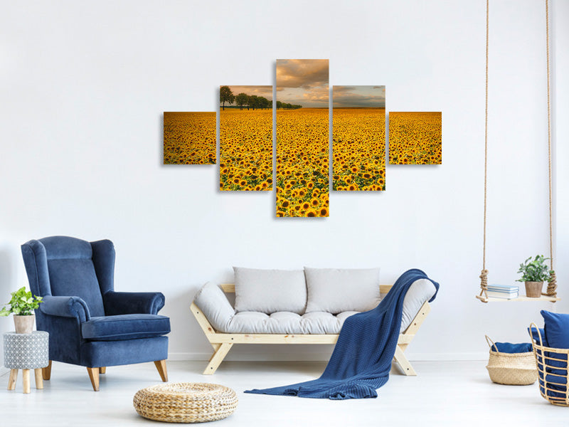 5-piece-canvas-print-sunflowers