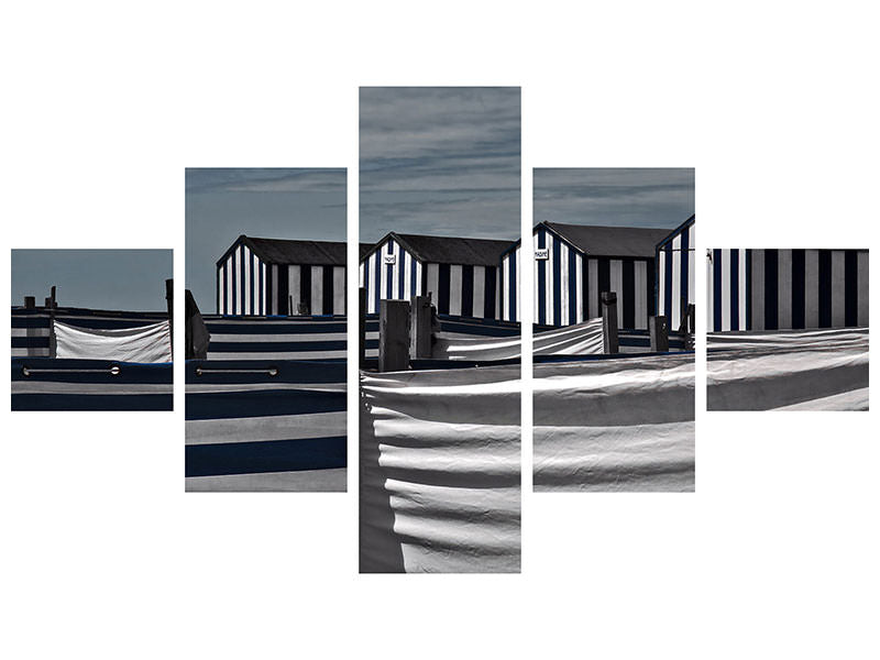 5-piece-canvas-print-territorial-behavior