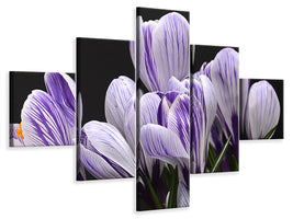 5-piece-canvas-print-the-crocus