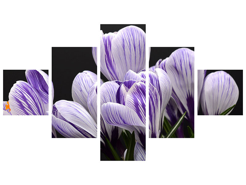 5-piece-canvas-print-the-crocus