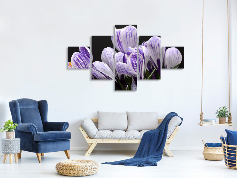 5-piece-canvas-print-the-crocus