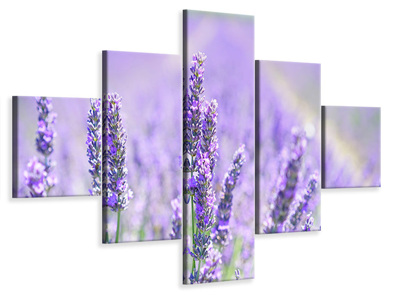 5-piece-canvas-print-the-lavender-blossom