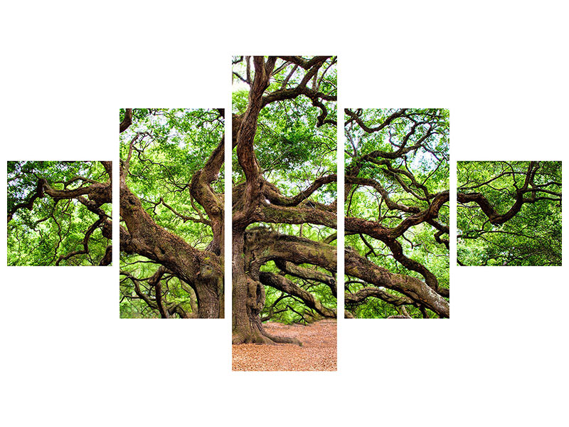 5-piece-canvas-print-the-oak