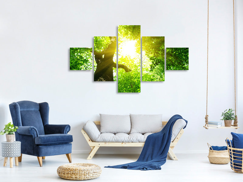 5-piece-canvas-print-tree